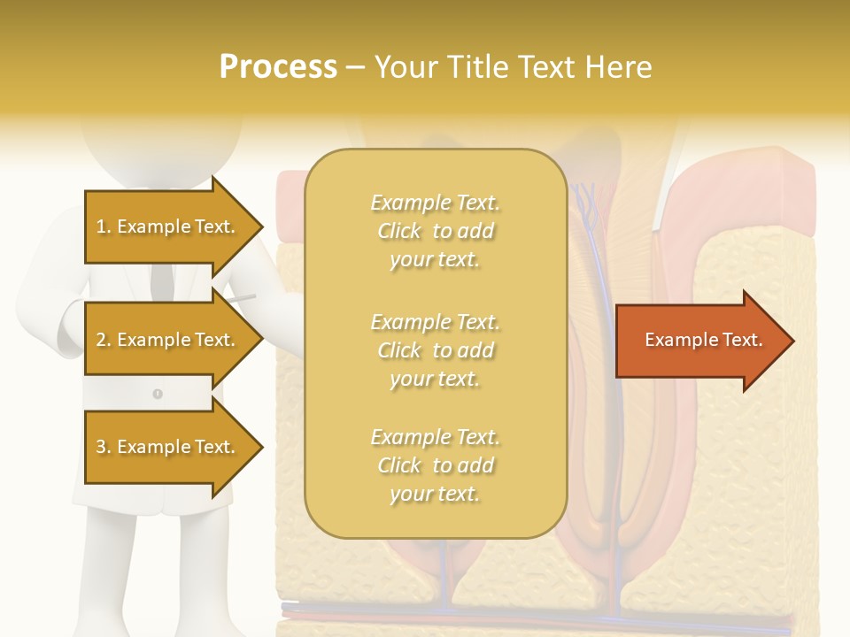 Human Concept Person PowerPoint Template