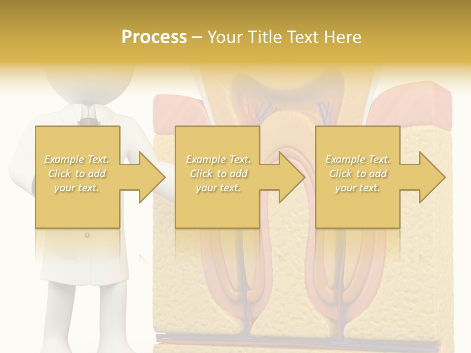 Human Concept Person PowerPoint Template