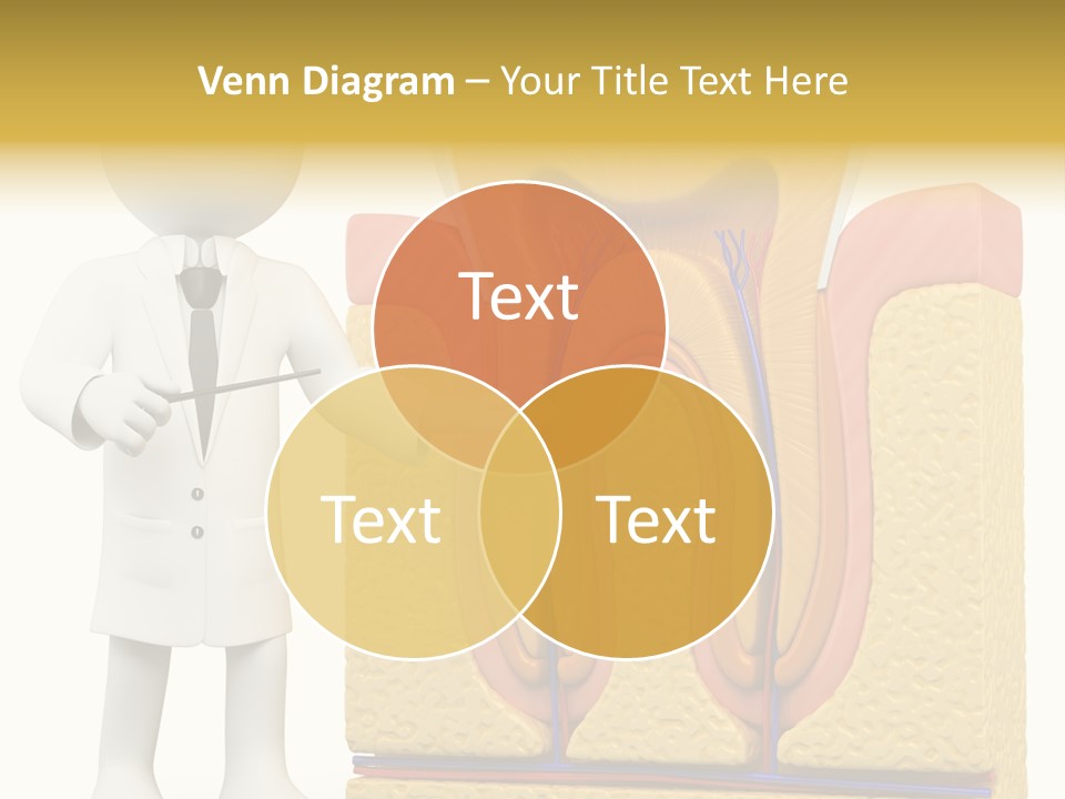 Human Concept Person PowerPoint Template