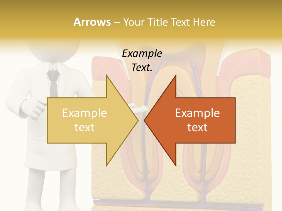 Human Concept Person PowerPoint Template