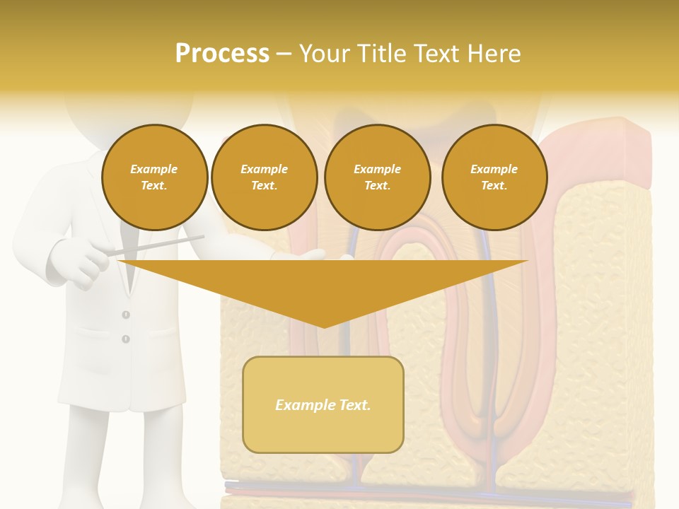 Human Concept Person PowerPoint Template