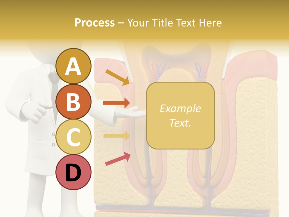 Human Concept Person PowerPoint Template