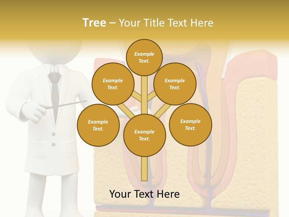 Human Concept Person PowerPoint Template