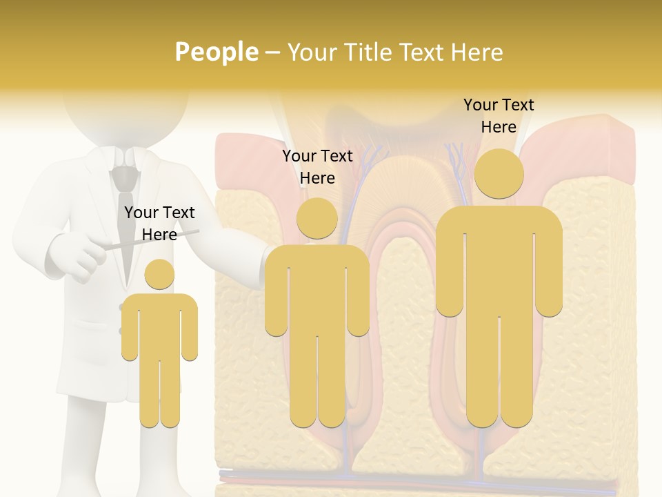 Human Concept Person PowerPoint Template