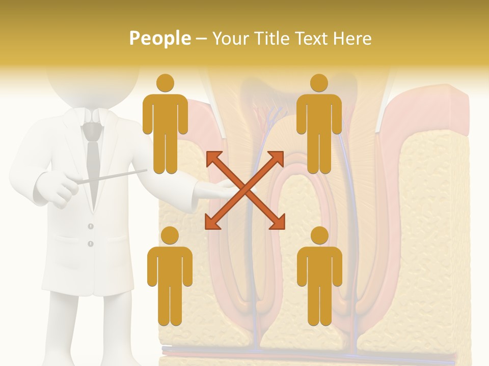 Human Concept Person PowerPoint Template