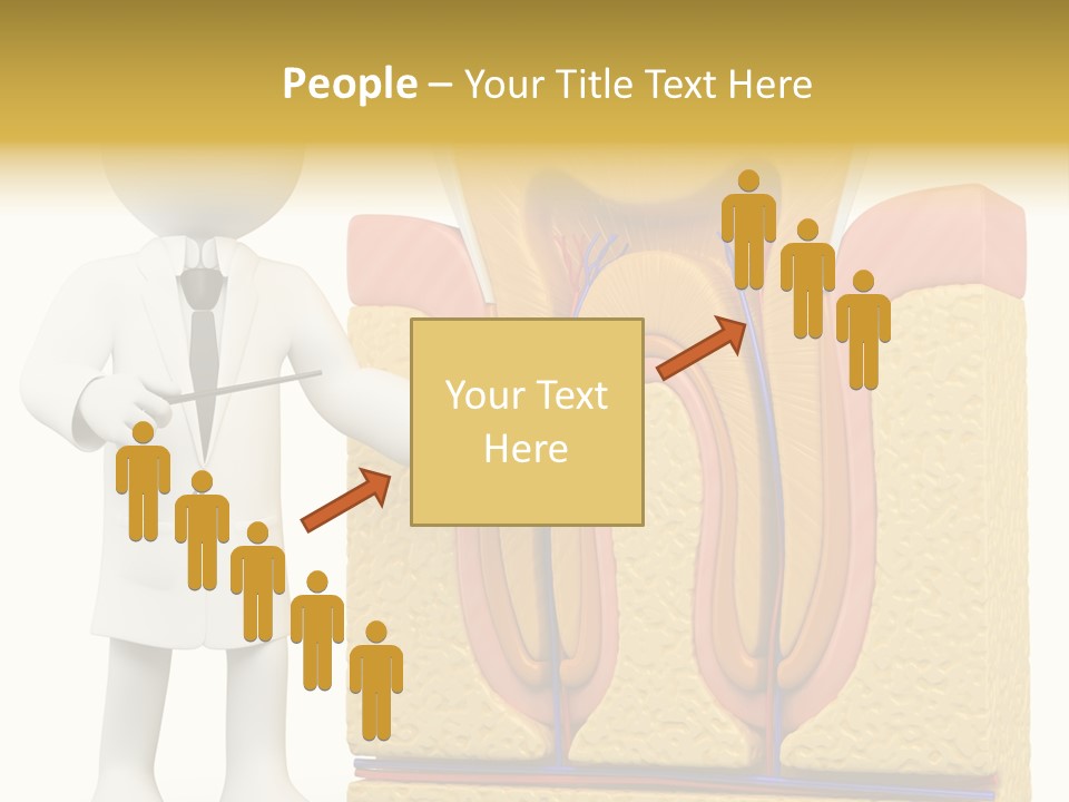 Human Concept Person PowerPoint Template