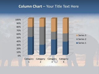 Sunbeam Sunset Silhouette PowerPoint Template