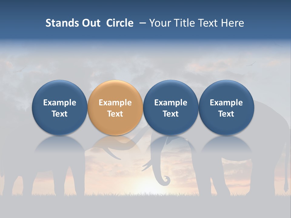 Sunbeam Sunset Silhouette PowerPoint Template