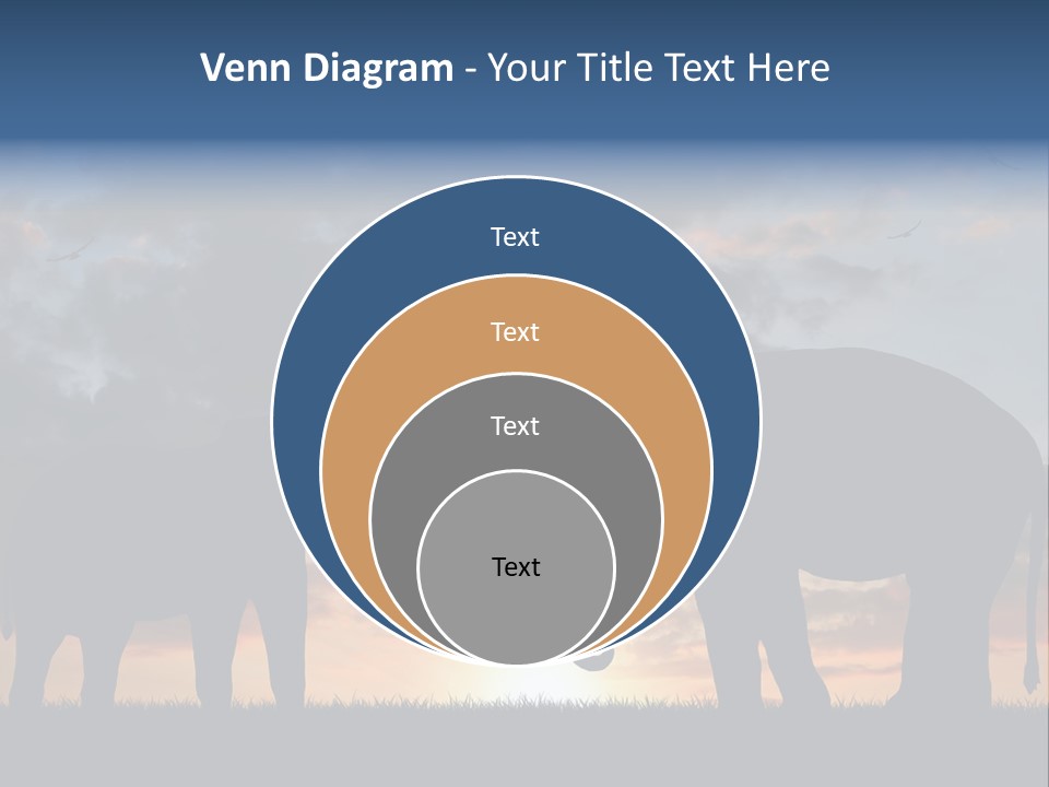 Sunbeam Sunset Silhouette PowerPoint Template