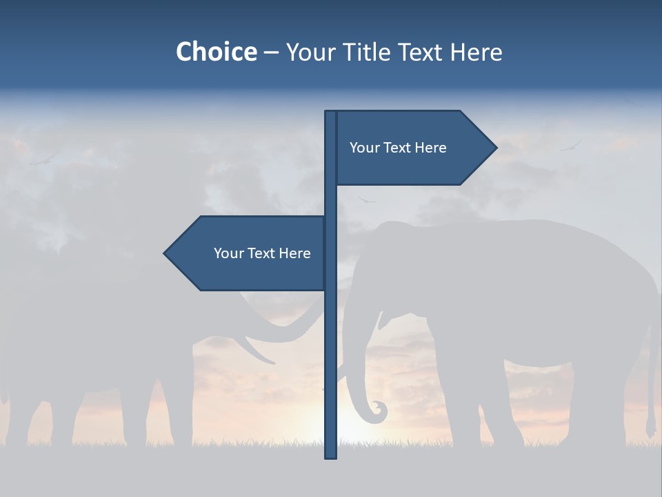 Sunbeam Sunset Silhouette PowerPoint Template