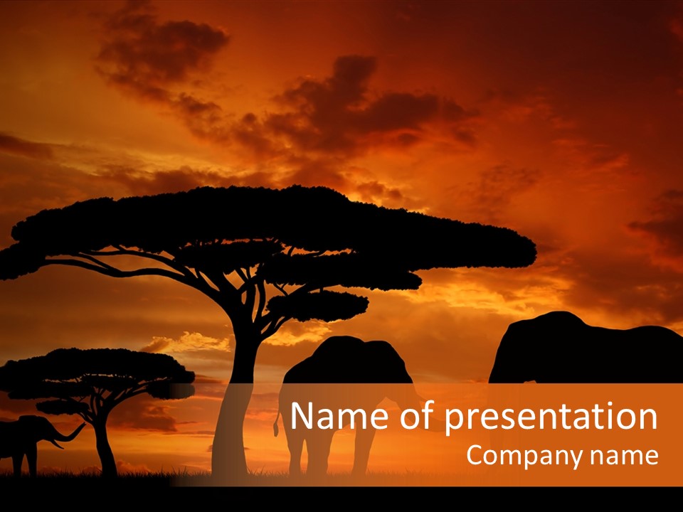 Africa Desert Illustrations PowerPoint Template