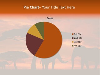 Africa Desert Illustrations PowerPoint Template