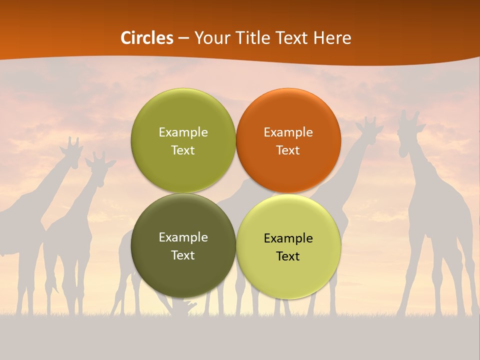 Nationals Kenya Wild PowerPoint Template