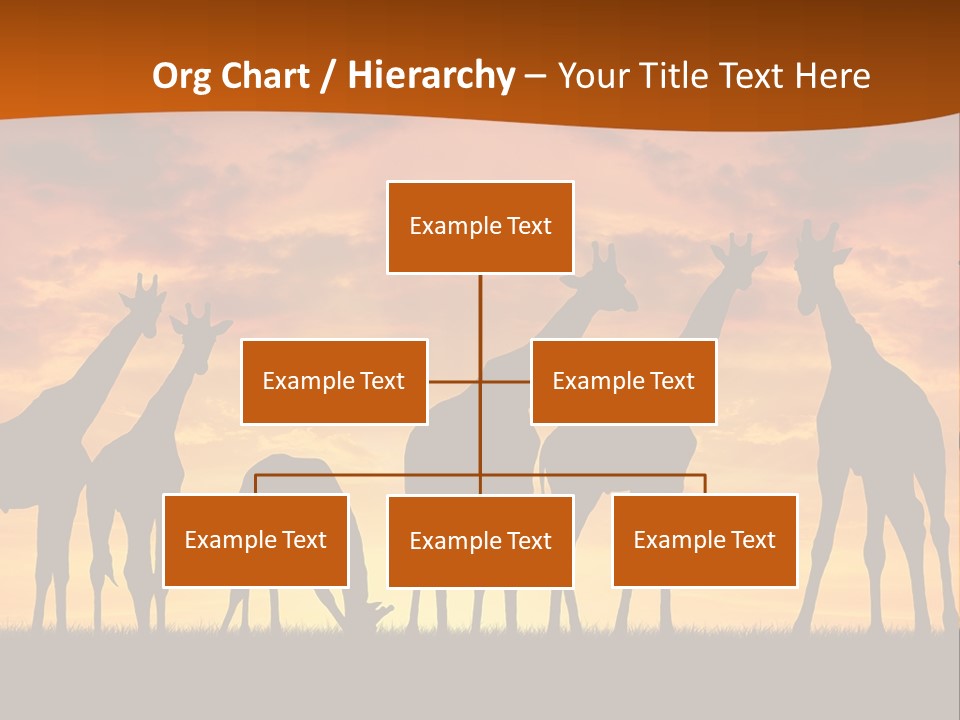 Nationals Kenya Wild PowerPoint Template