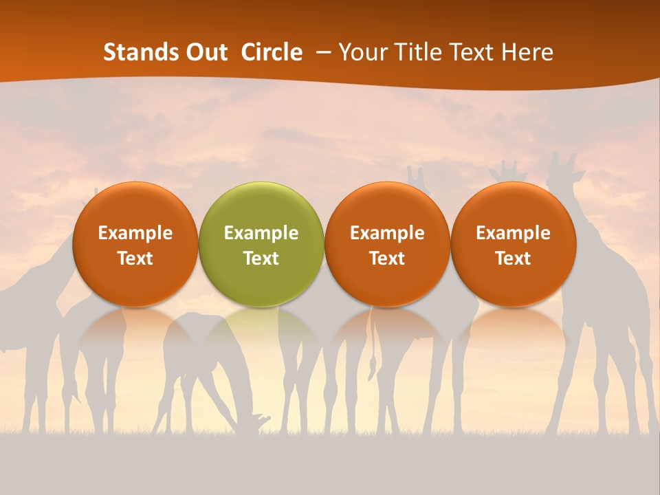 Nationals Kenya Wild PowerPoint Template