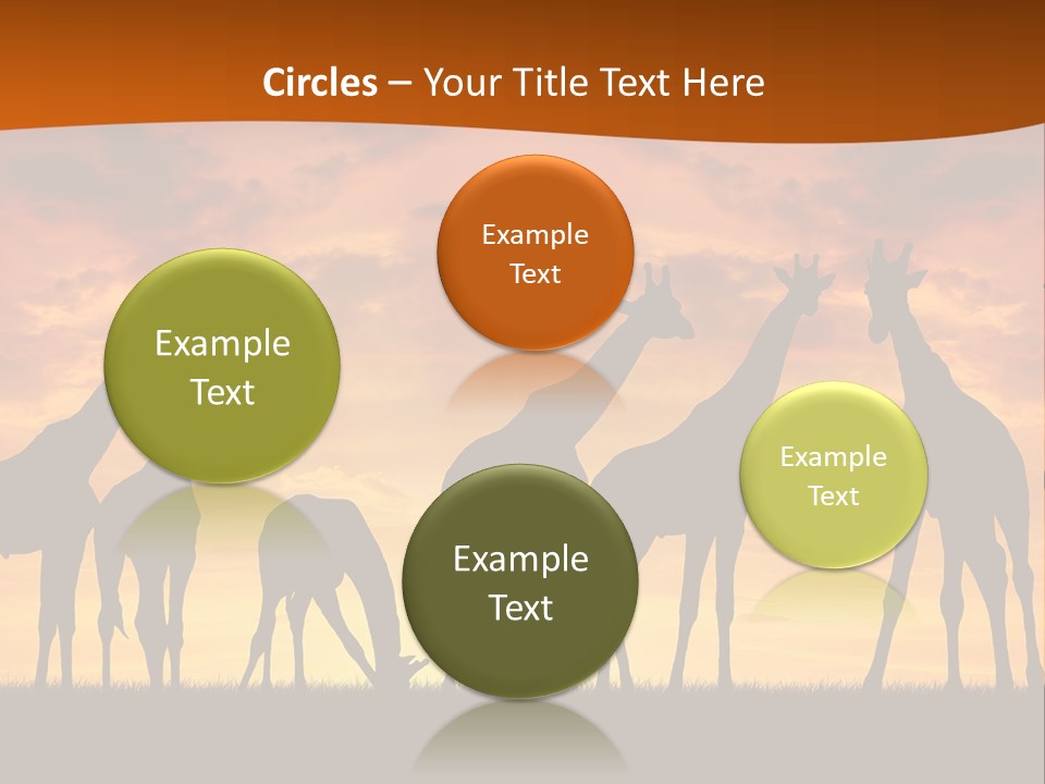 Nationals Kenya Wild PowerPoint Template