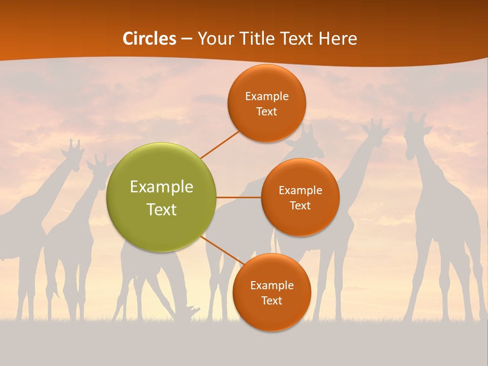 Nationals Kenya Wild PowerPoint Template