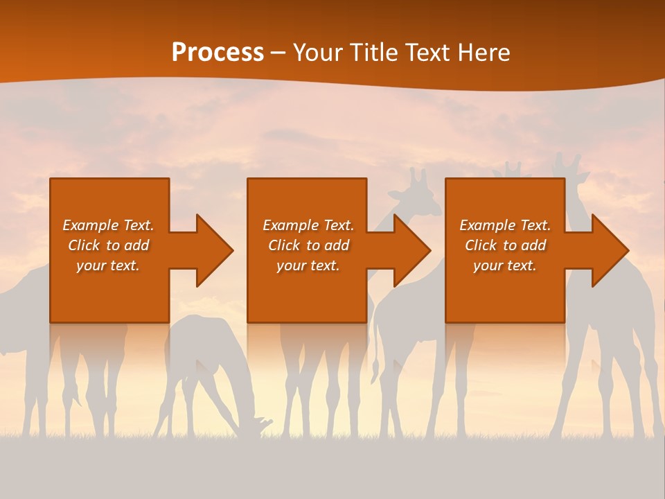 Nationals Kenya Wild PowerPoint Template