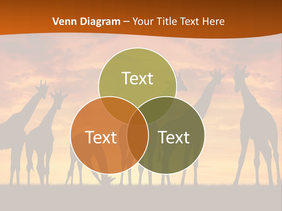 Nationals Kenya Wild PowerPoint Template