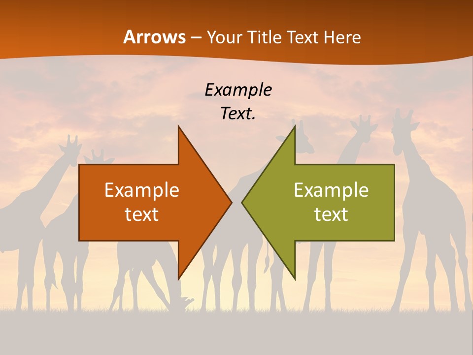 Nationals Kenya Wild PowerPoint Template