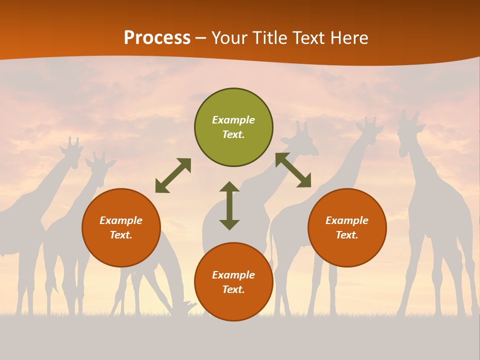 Nationals Kenya Wild PowerPoint Template