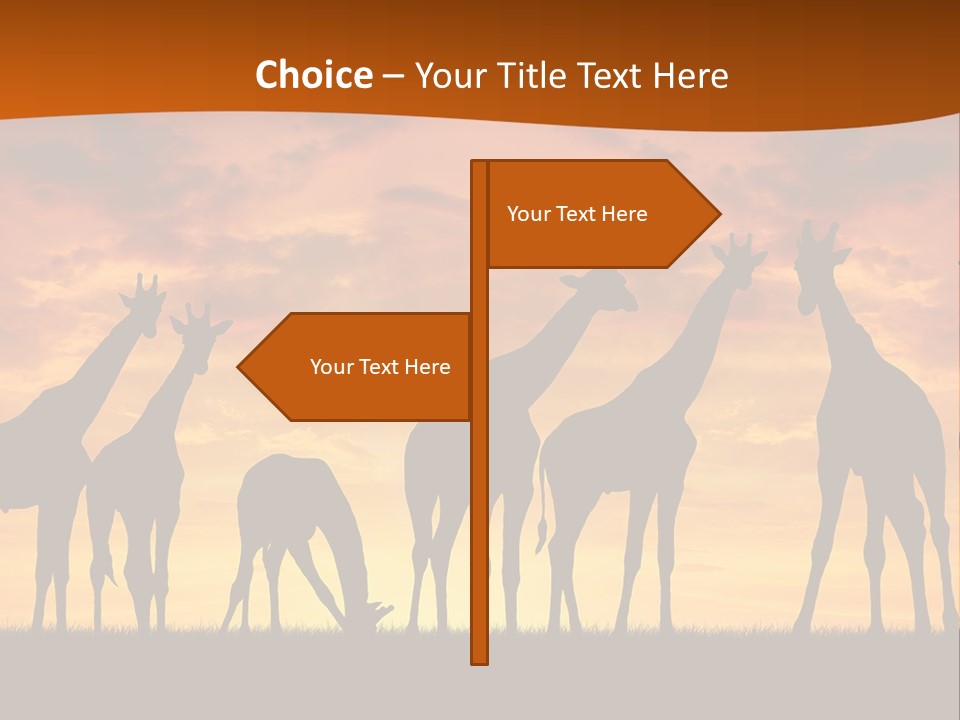 Nationals Kenya Wild PowerPoint Template