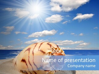 Holiday Tropical Shoreline PowerPoint Template