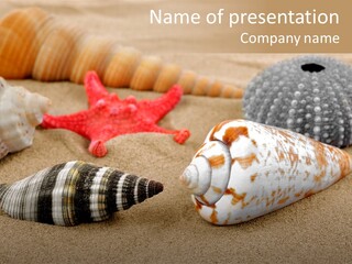 Sea Pattern Clam PowerPoint Template