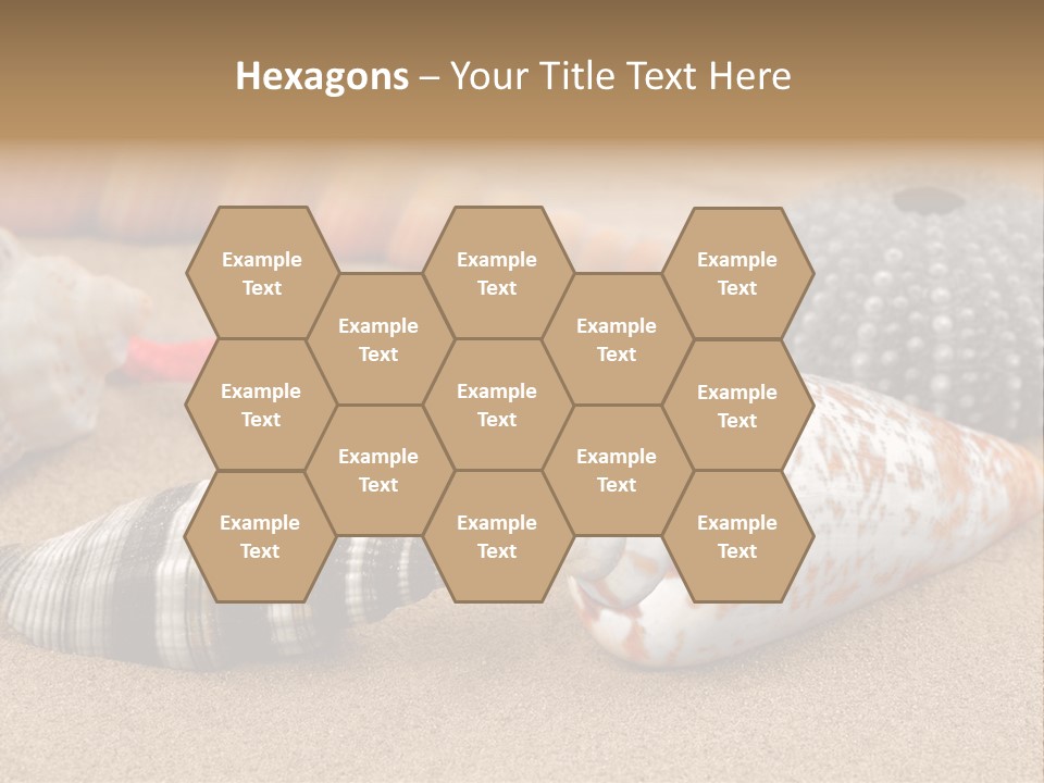 Sea Pattern Clam PowerPoint Template