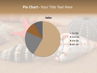 Sea Pattern Clam PowerPoint Template