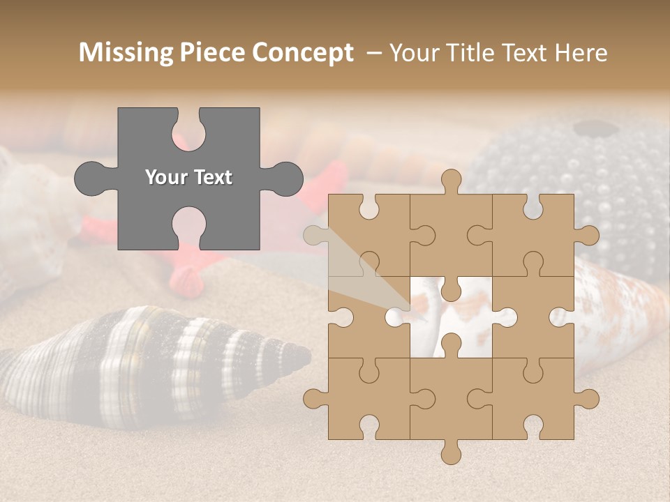 Sea Pattern Clam PowerPoint Template