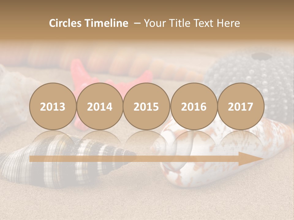 Sea Pattern Clam PowerPoint Template