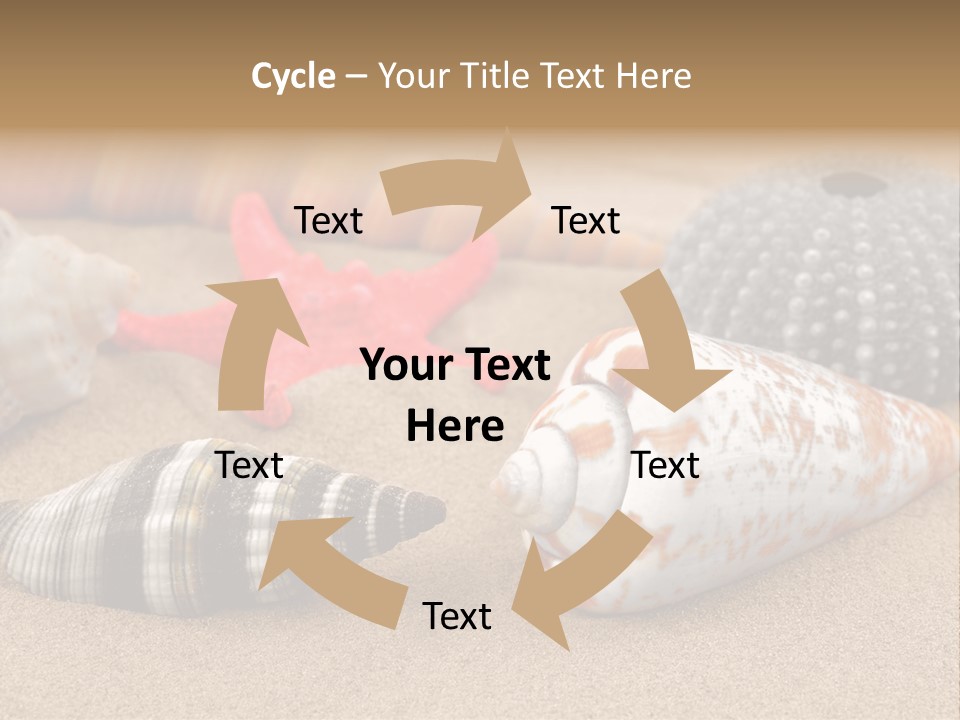 Sea Pattern Clam PowerPoint Template