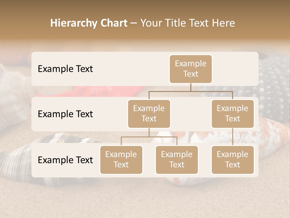 Sea Pattern Clam PowerPoint Template