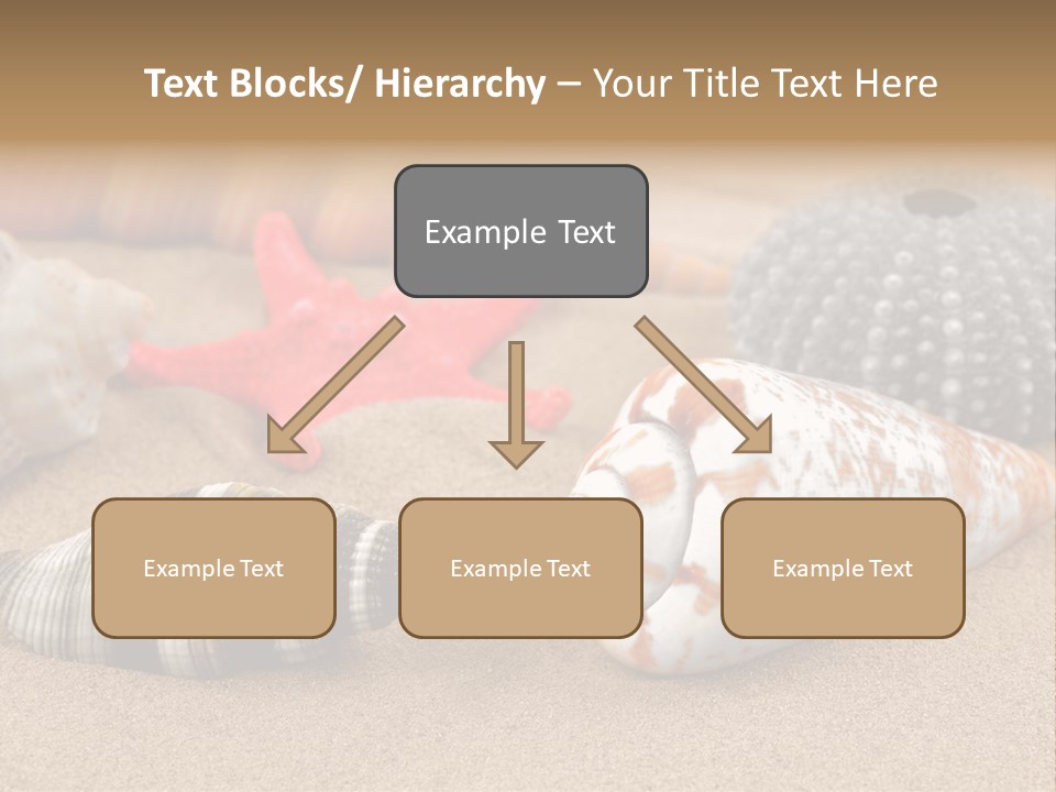 Sea Pattern Clam PowerPoint Template