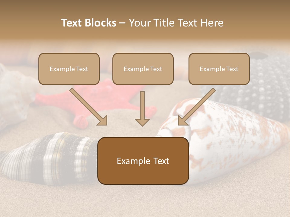 Sea Pattern Clam PowerPoint Template