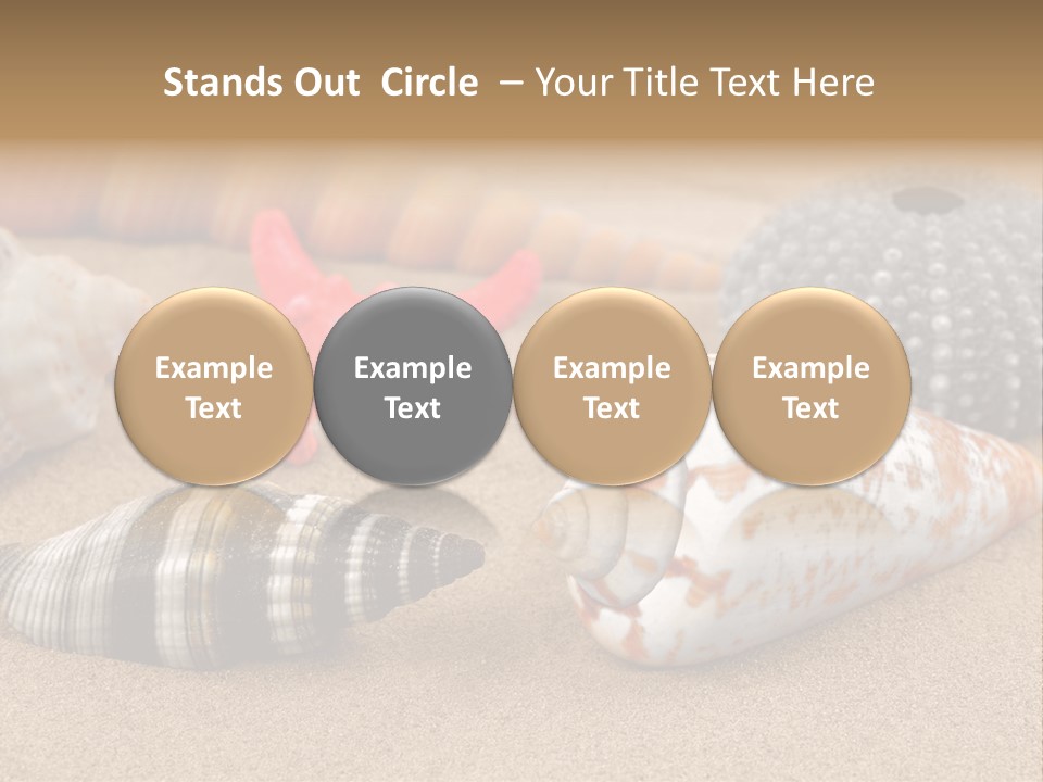 Sea Pattern Clam PowerPoint Template