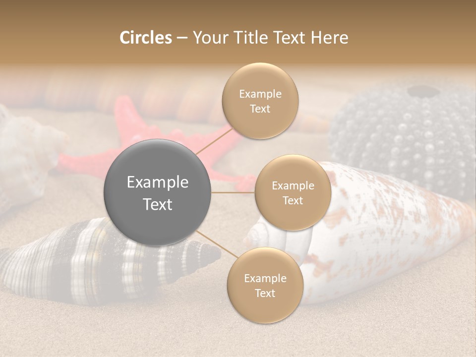 Sea Pattern Clam PowerPoint Template