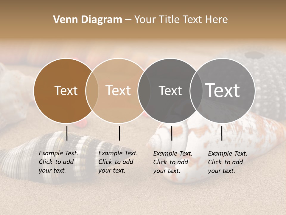 Sea Pattern Clam PowerPoint Template