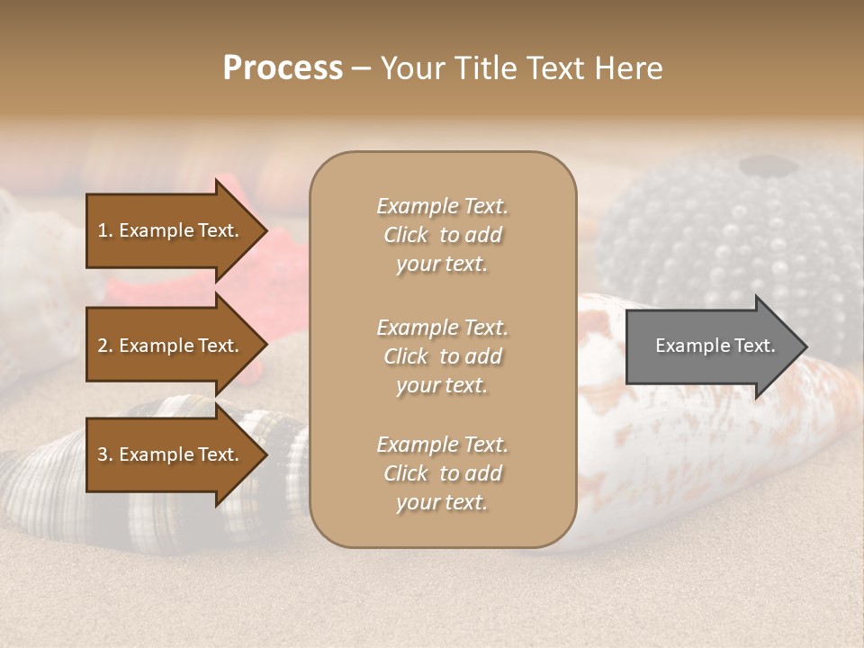 Sea Pattern Clam PowerPoint Template