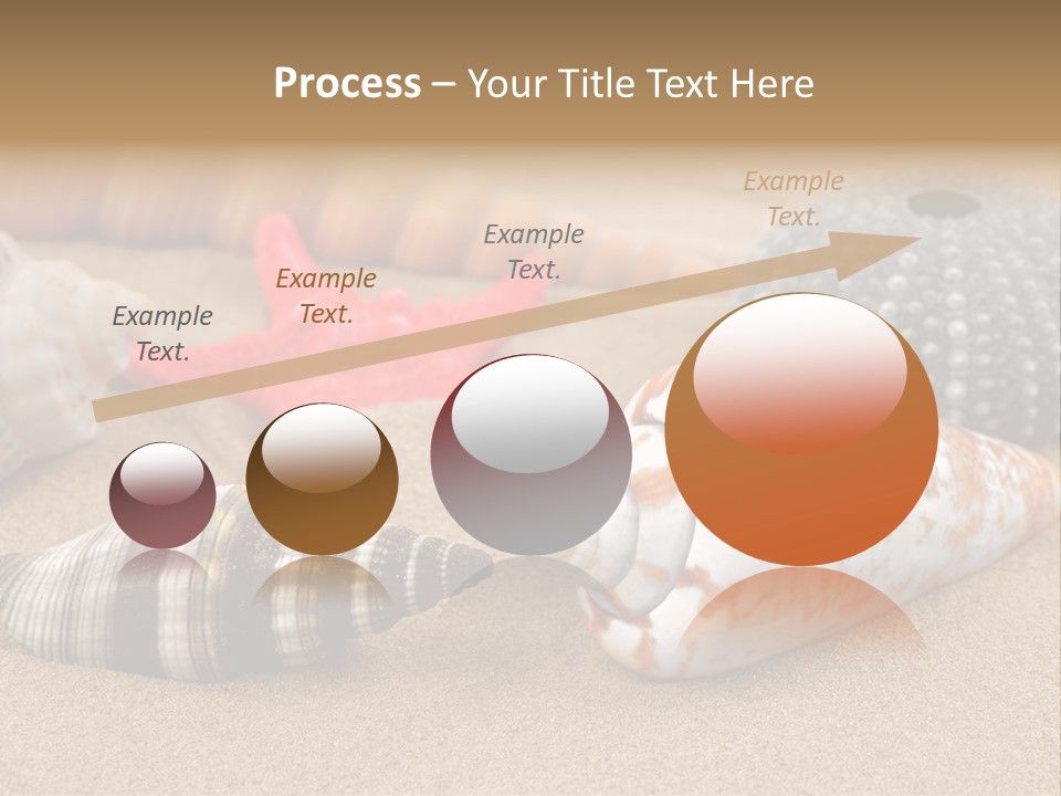 Sea Pattern Clam PowerPoint Template