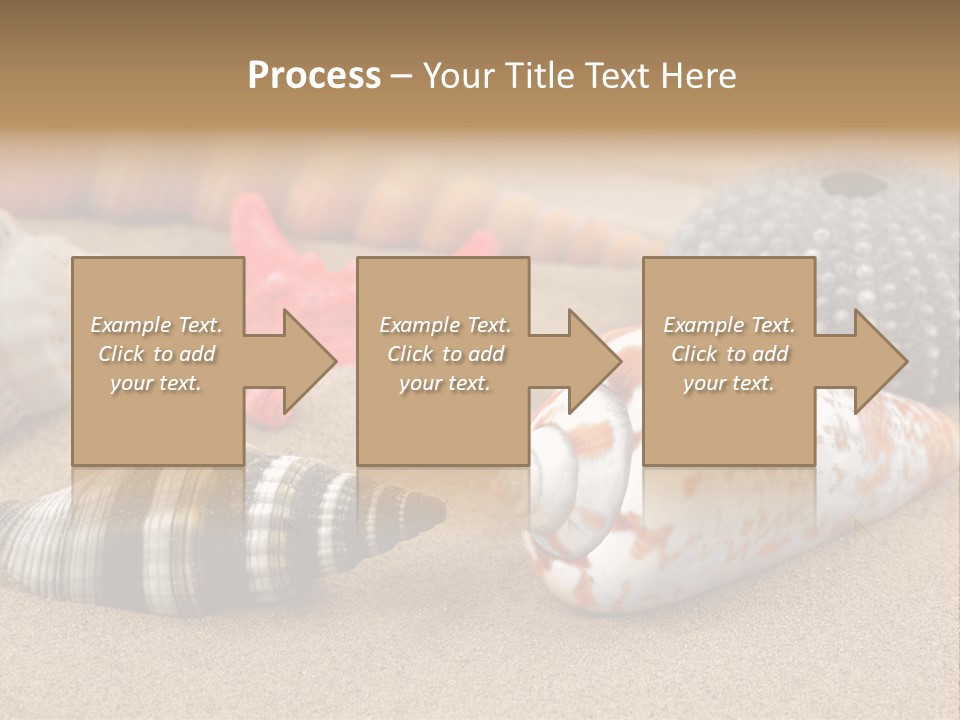 Sea Pattern Clam PowerPoint Template