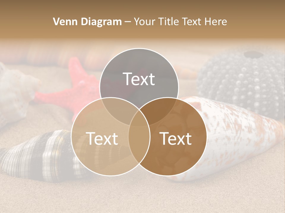 Sea Pattern Clam PowerPoint Template