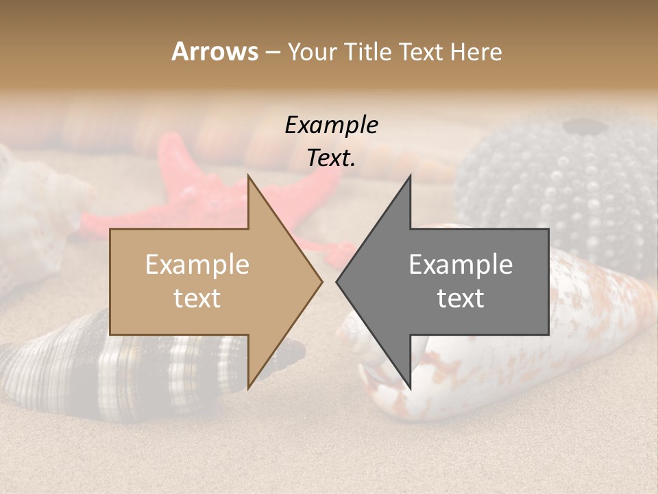 Sea Pattern Clam PowerPoint Template