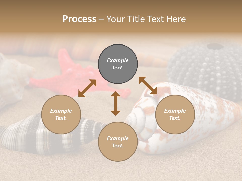 Sea Pattern Clam PowerPoint Template