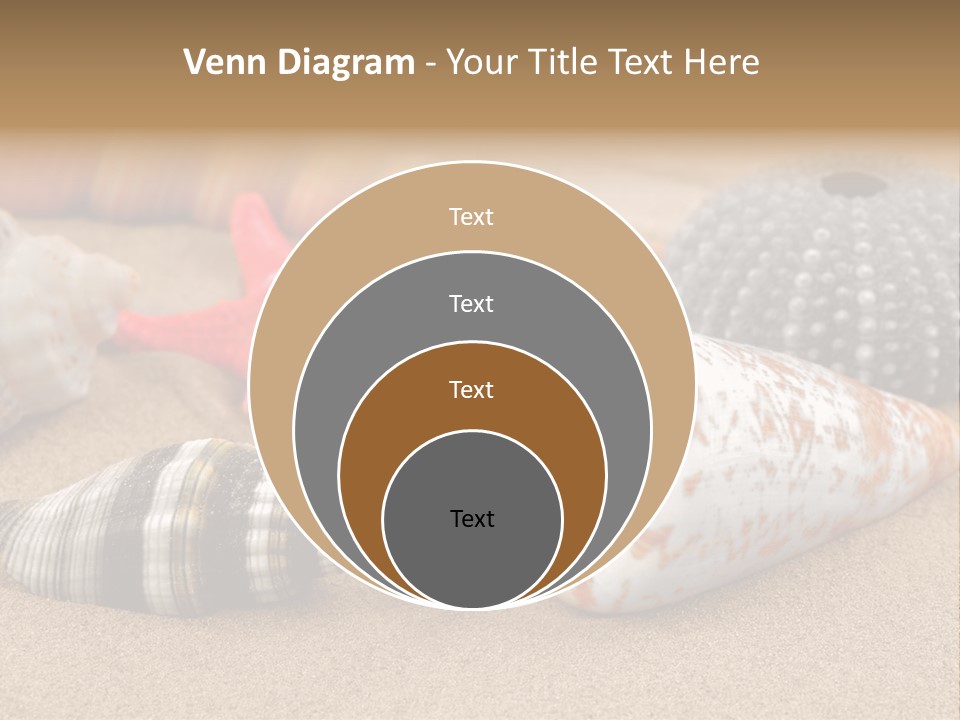 Sea Pattern Clam PowerPoint Template