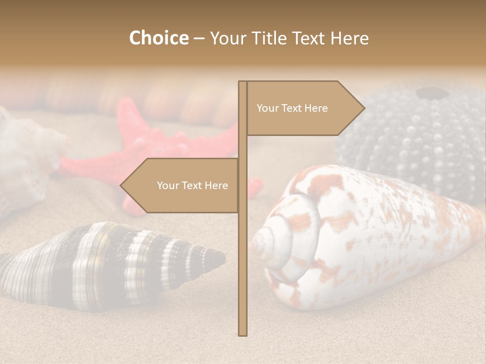 Sea Pattern Clam PowerPoint Template
