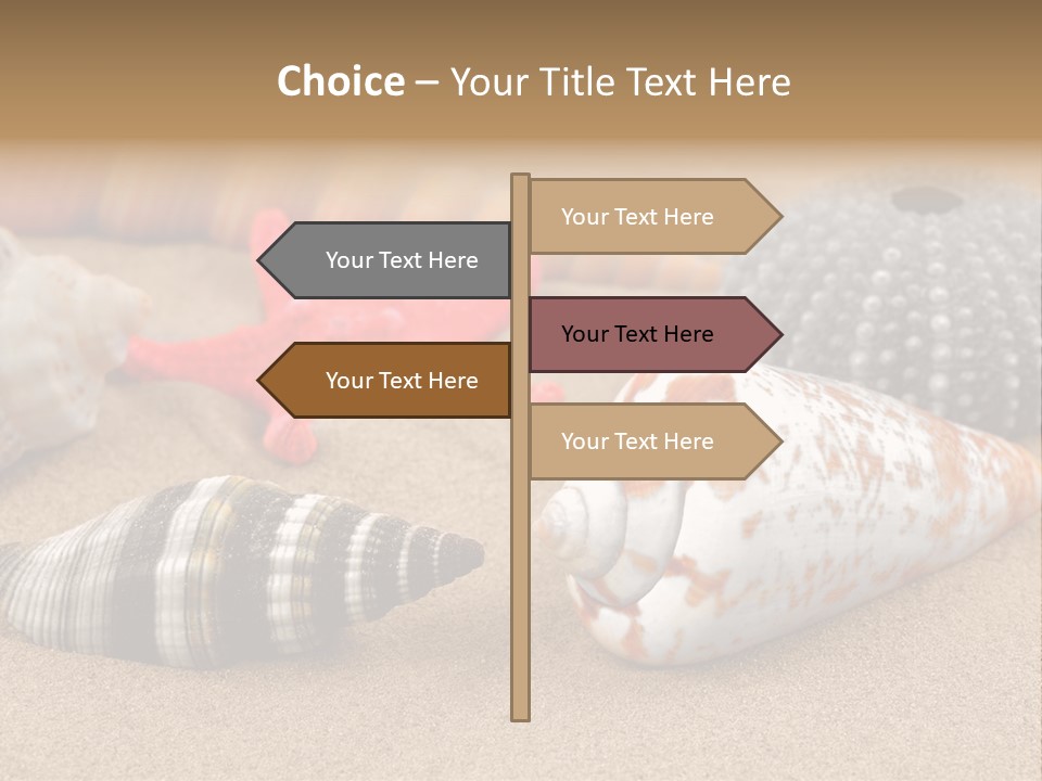 Sea Pattern Clam PowerPoint Template