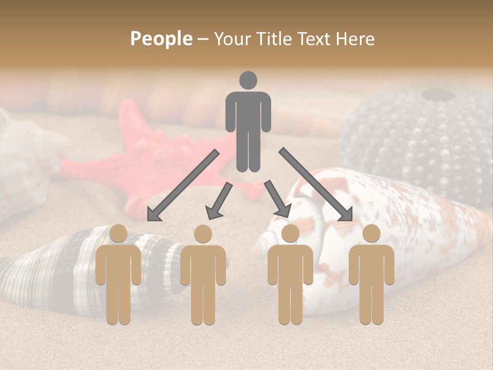 Sea Pattern Clam PowerPoint Template