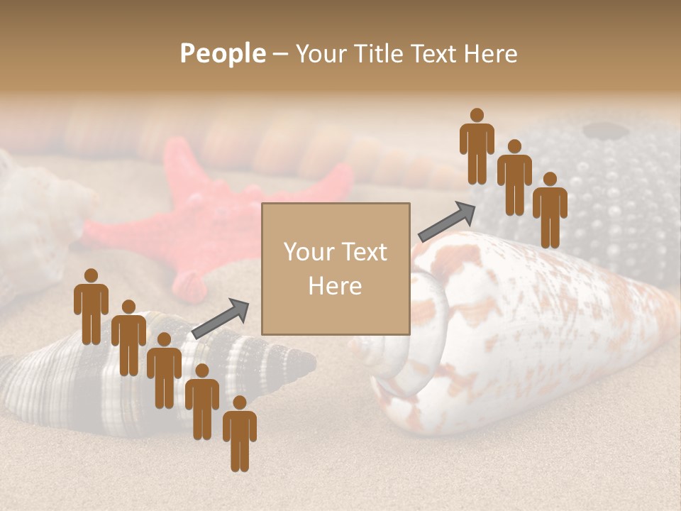 Sea Pattern Clam PowerPoint Template